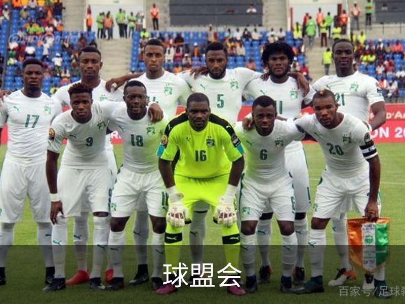 关于球盟会